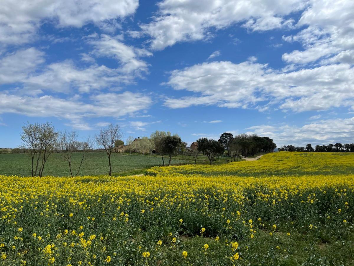 Mas Figueres Διαμέρισμα Caldes de Malavella Εξωτερικό φωτογραφία